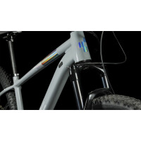 Cube Access WS SLX grey´n´silver