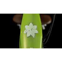 Cube Ella Ride Hybrid 500 green´n´green