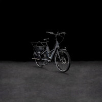 CUBE Longtail Hybrid Family 1350 grey´n´reflex